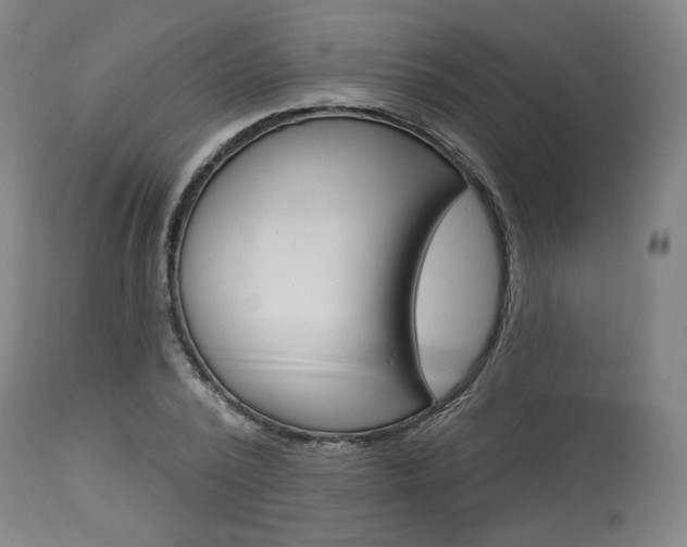 X0000114080784200910050958