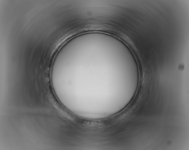 X0000114080786200910050958