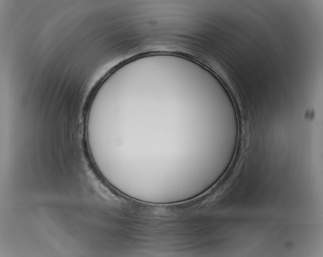 X0000114080787200910050958