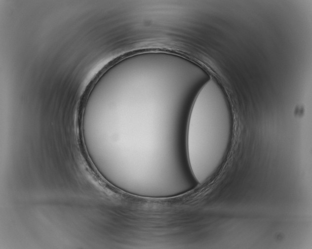 X0000114080788200910050958