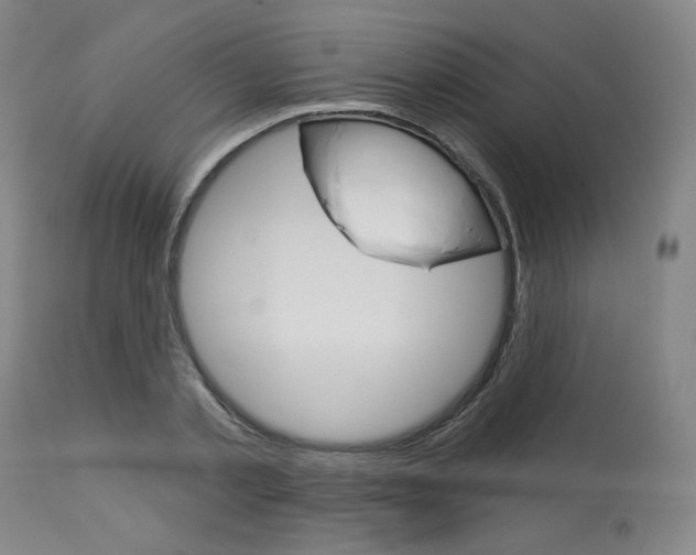 X0000114080789200910050958