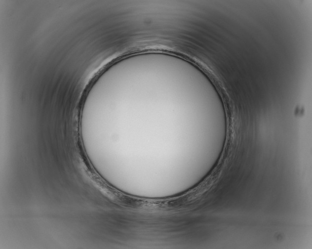 X0000114080790200910050958
