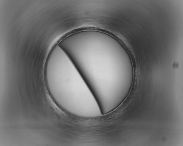 X0000114080791200910050958