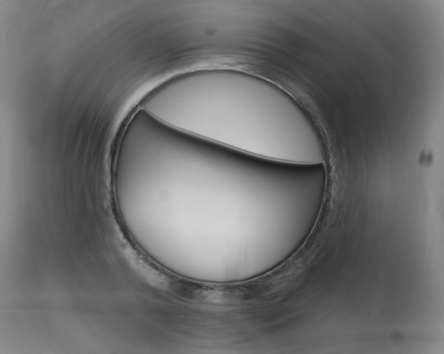 X0000114080792200910050958