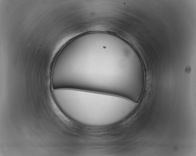 X0000114080795200910050958