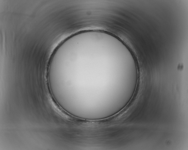 X0000114080797200910050958