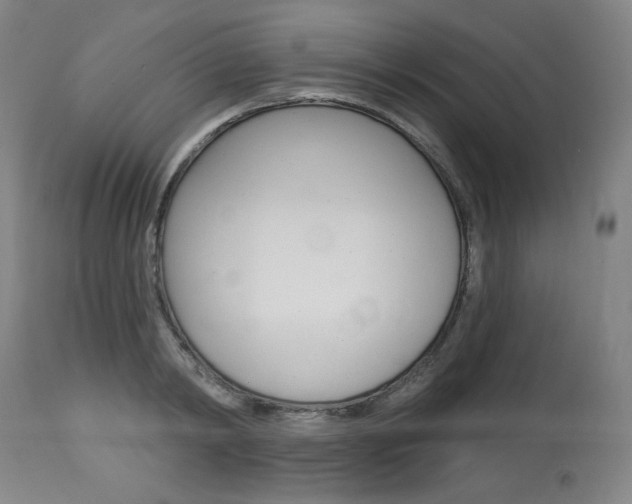 X0000114080798200910050958