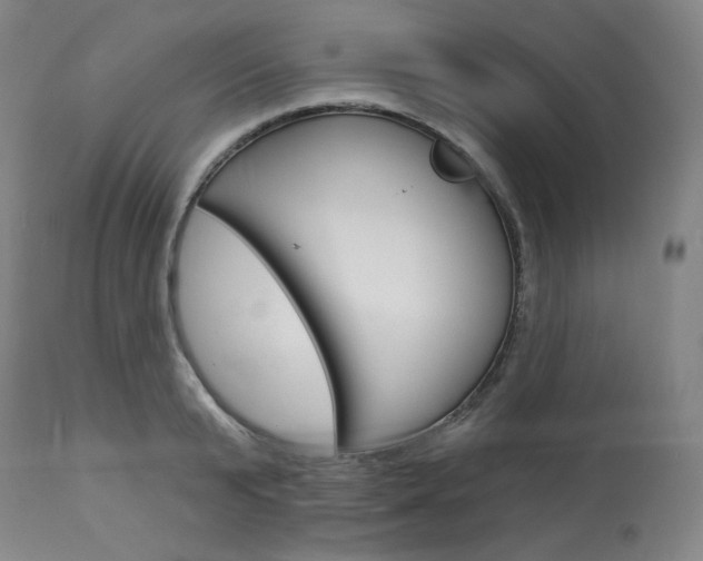 X0000114080799200910050958
