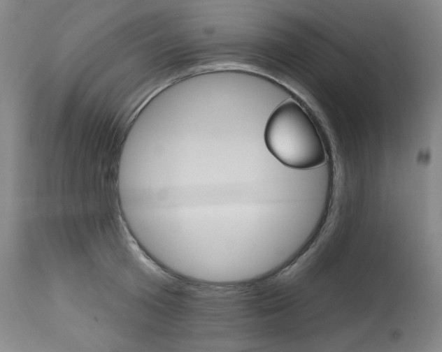X0000114080801200910050958