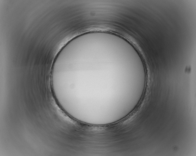 X0000114080802200910050958