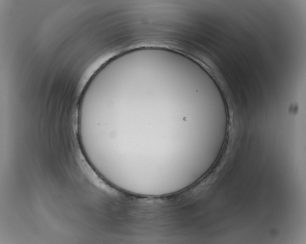 X0000114080804200910050958
