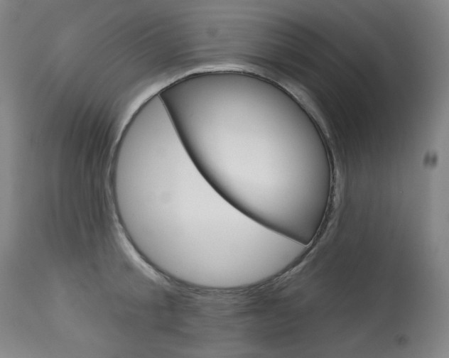 X0000114080805200910050958