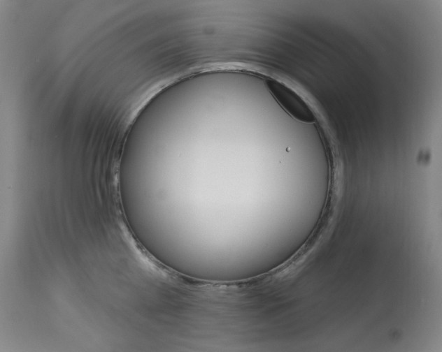 X0000114080809200910050958