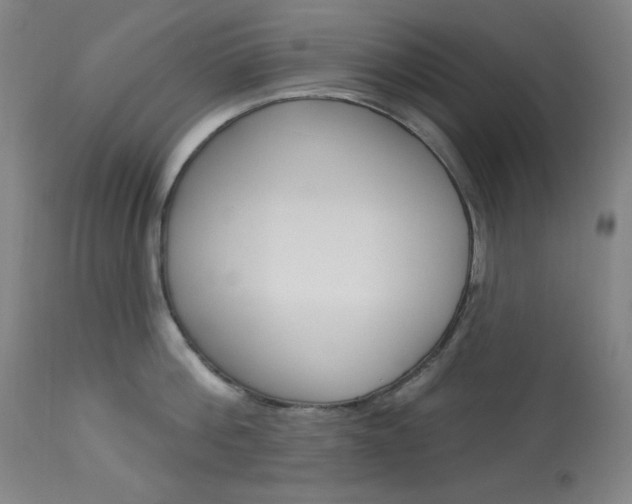 X0000114080812200910050958