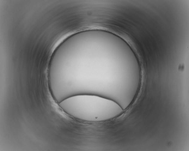 X0000114080814200910050958