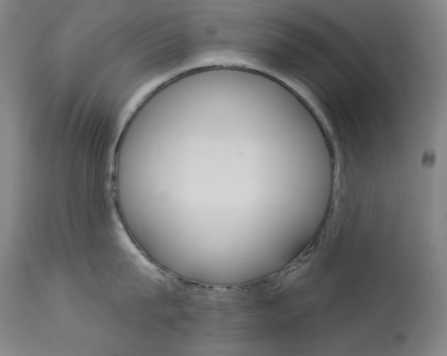 X0000114080815200910050958