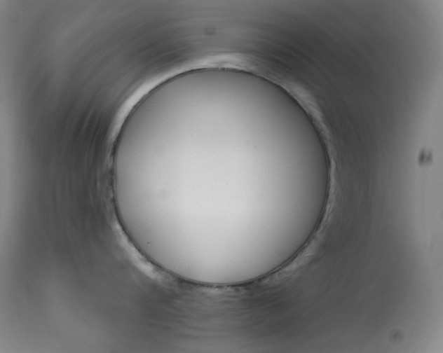 X0000114080816200910050958