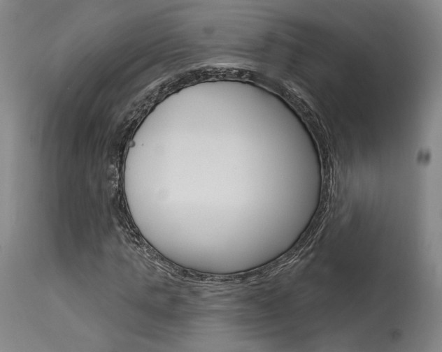 X0000114080821200910050957