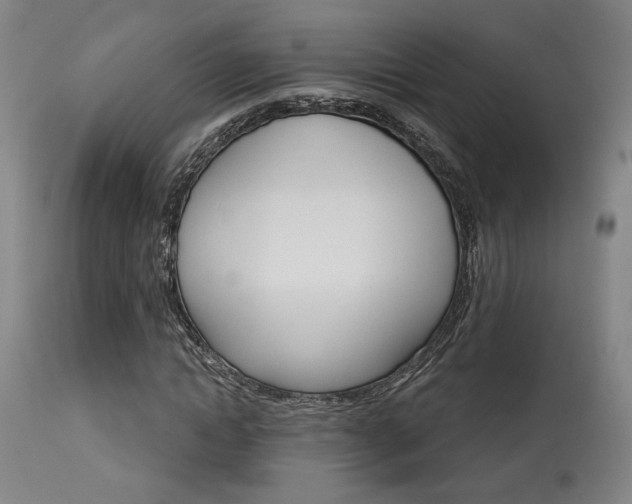 X0000114080822200910050957