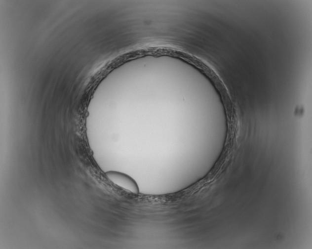 X0000114080823200910050957