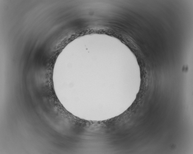 X0000114080824200910050957