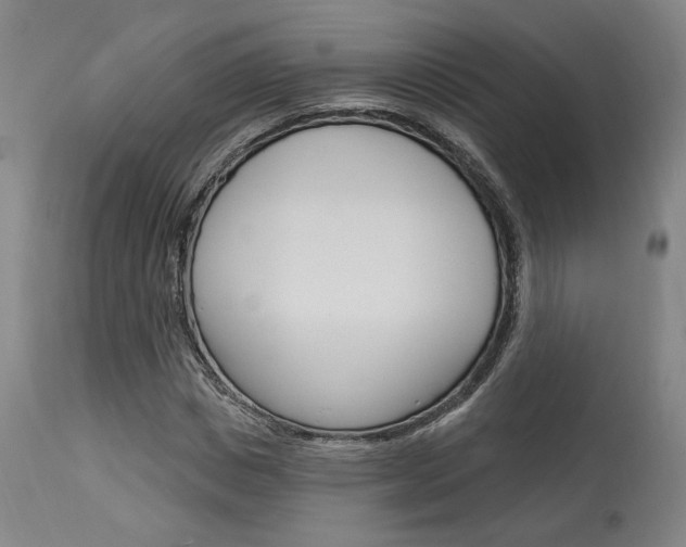 X0000114080825200910050957