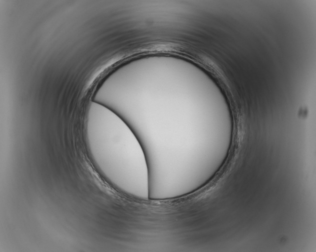X0000114080827200910050958