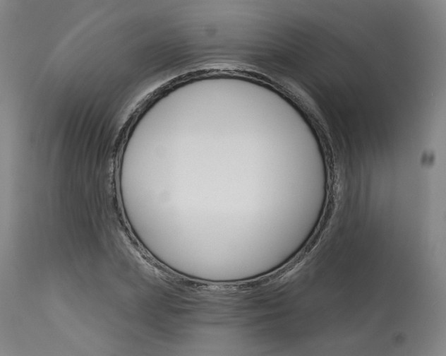 X0000114080831200910050958