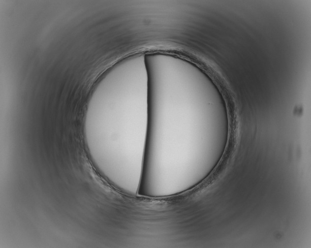 X0000114080833200910050958