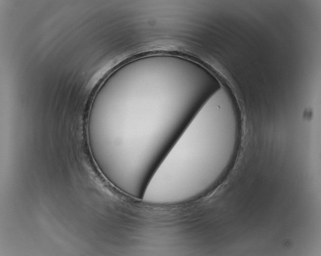 X0000114080834200910050958