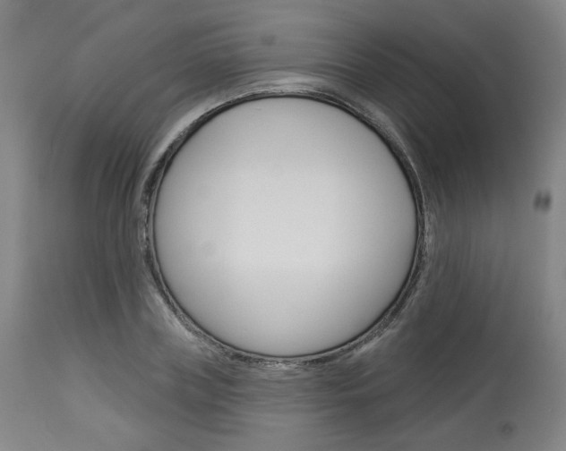 X0000114080835200910050958