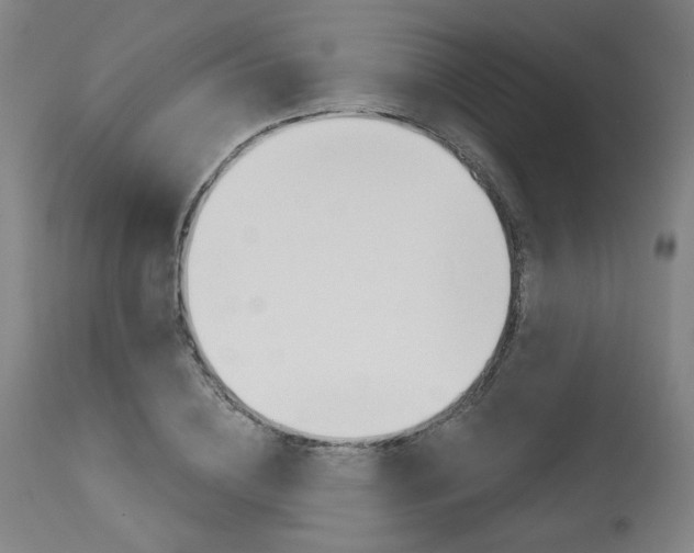 X0000114080836200910050958