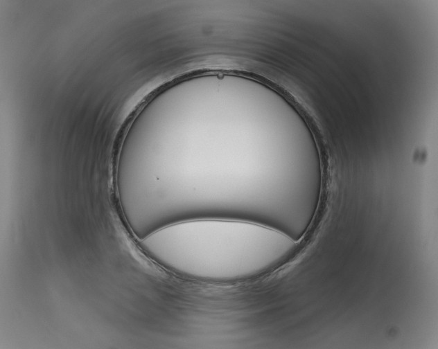 X0000114080837200910050958