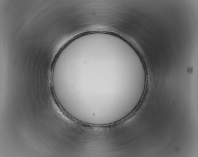 X0000114080839200910050958