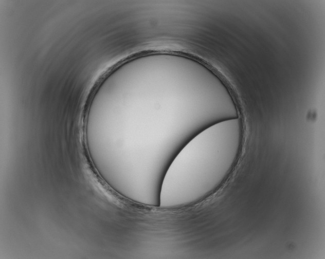 X0000114080840200910050958