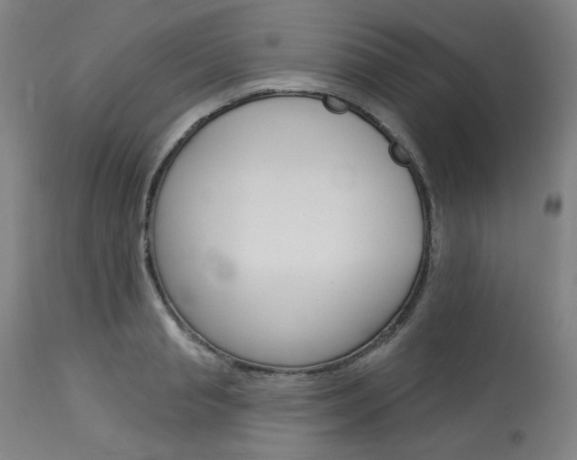 X0000114080845200910050958
