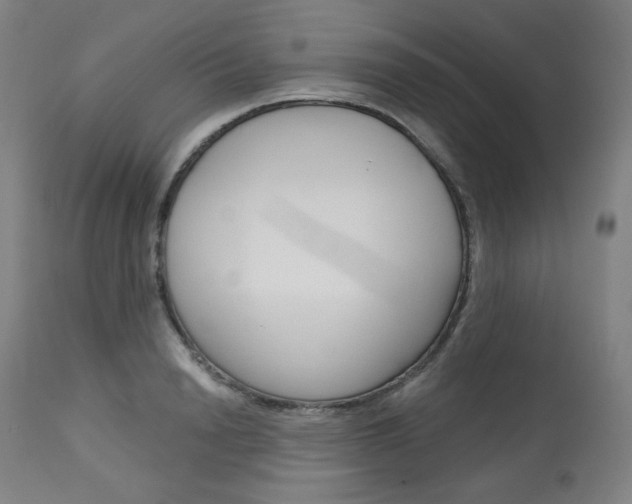X0000114080846200910050958