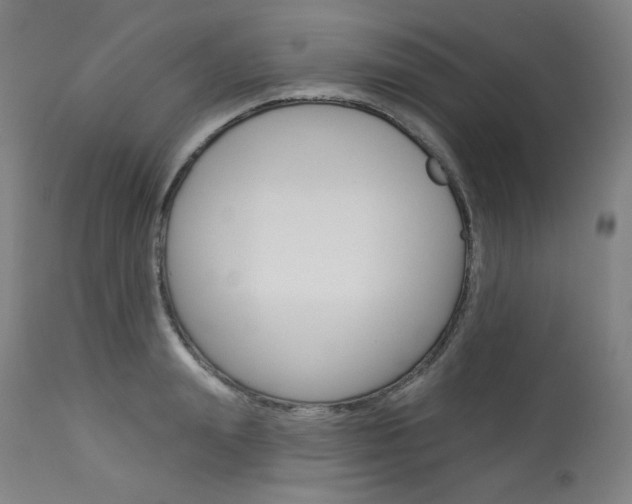 X0000114080847200910050958
