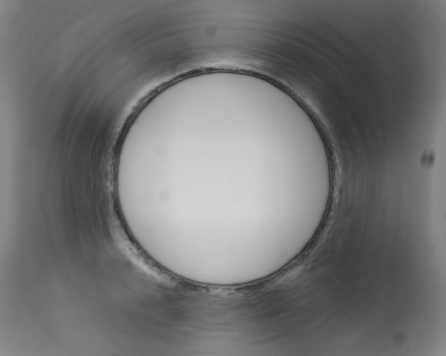 X0000114080848200910050958