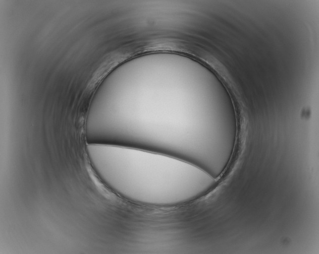 X0000114080849200910050958