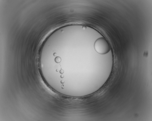 X0000114080851200910050958