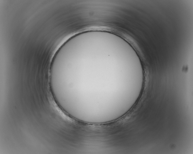 X0000114080852200910050958