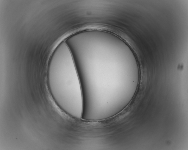 X0000114080853200910050958