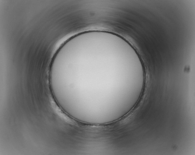 X0000114080854200910050958