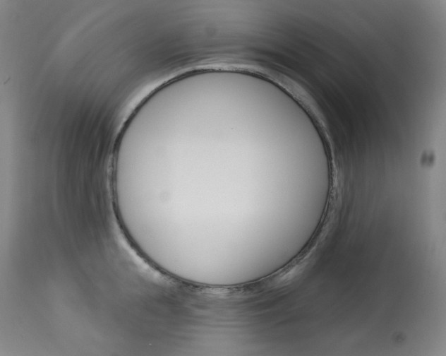 X0000114080855200910050958