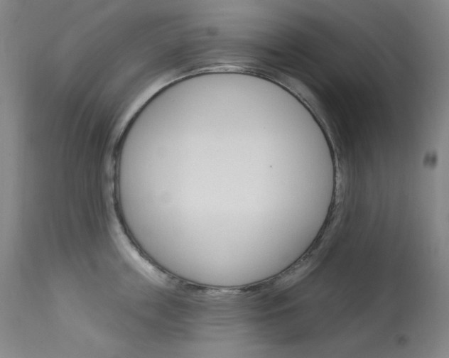 X0000114080859200910050958