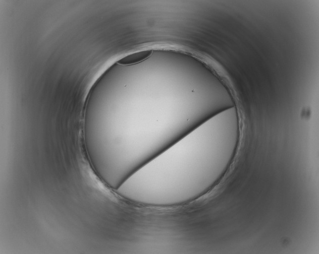 X0000114080860200910050958