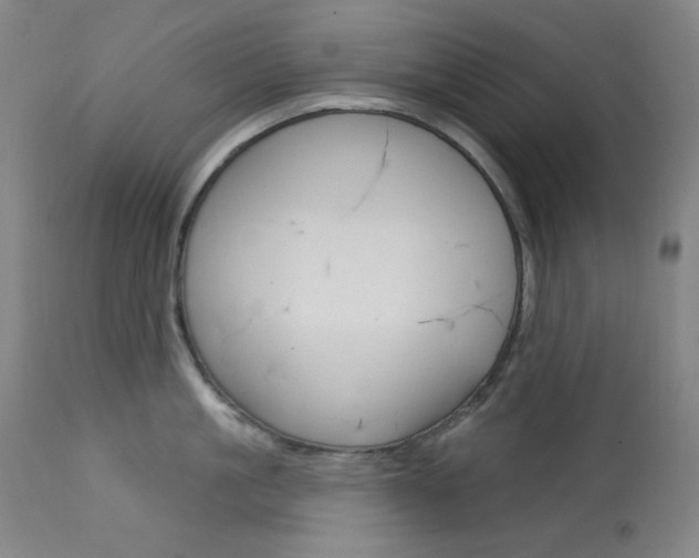 X0000114080861200910050958