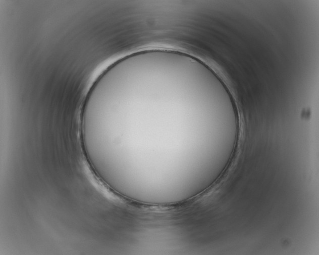 X0000114080862200910050958