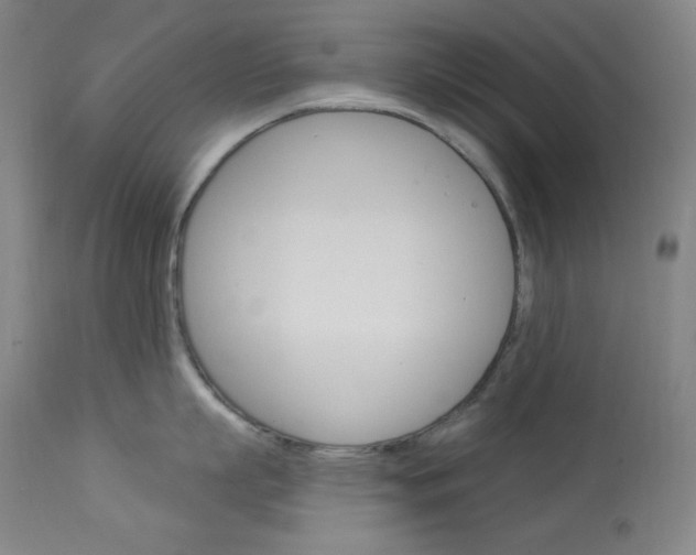 X0000114080863200910050958